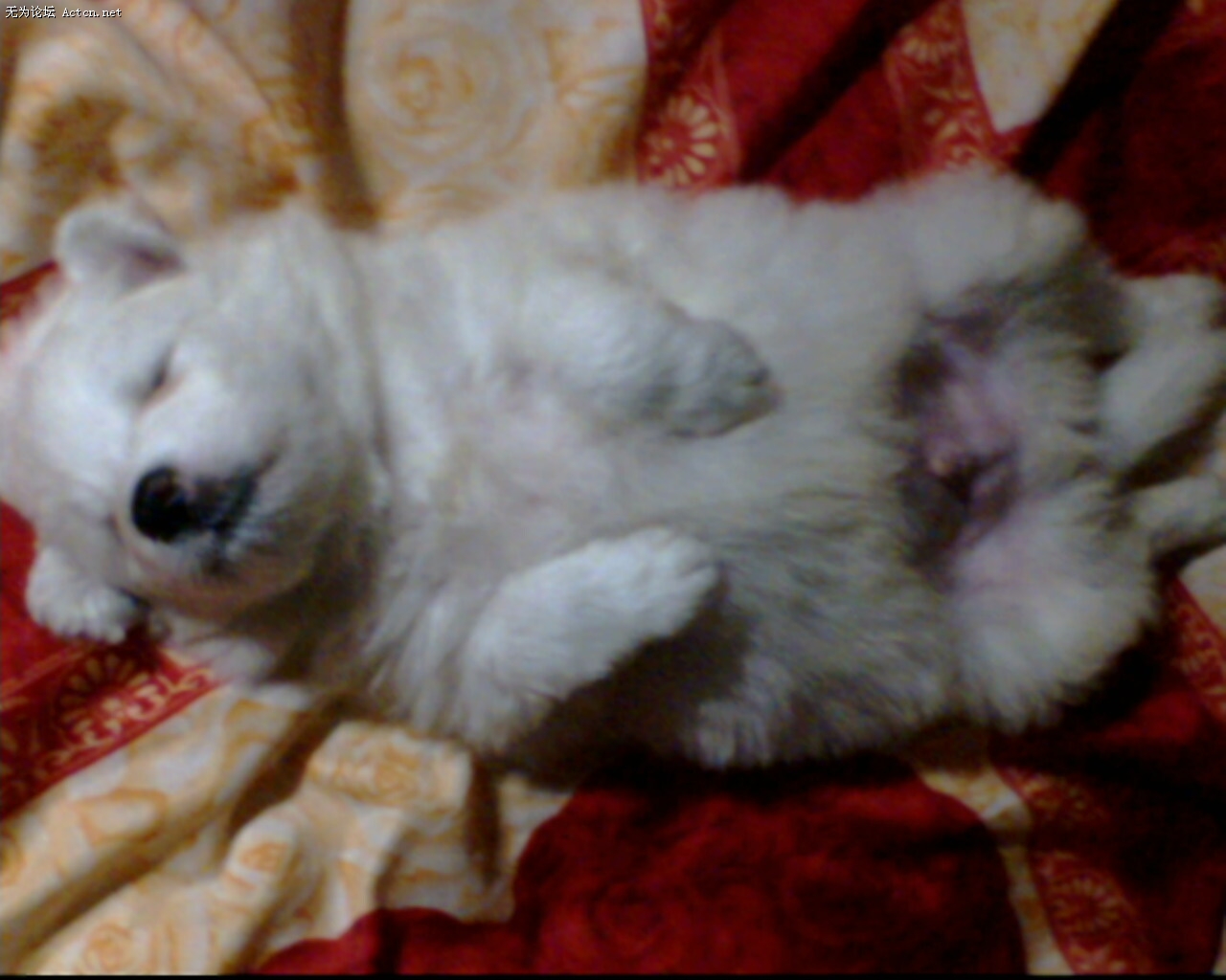 IMG0030A.jpg