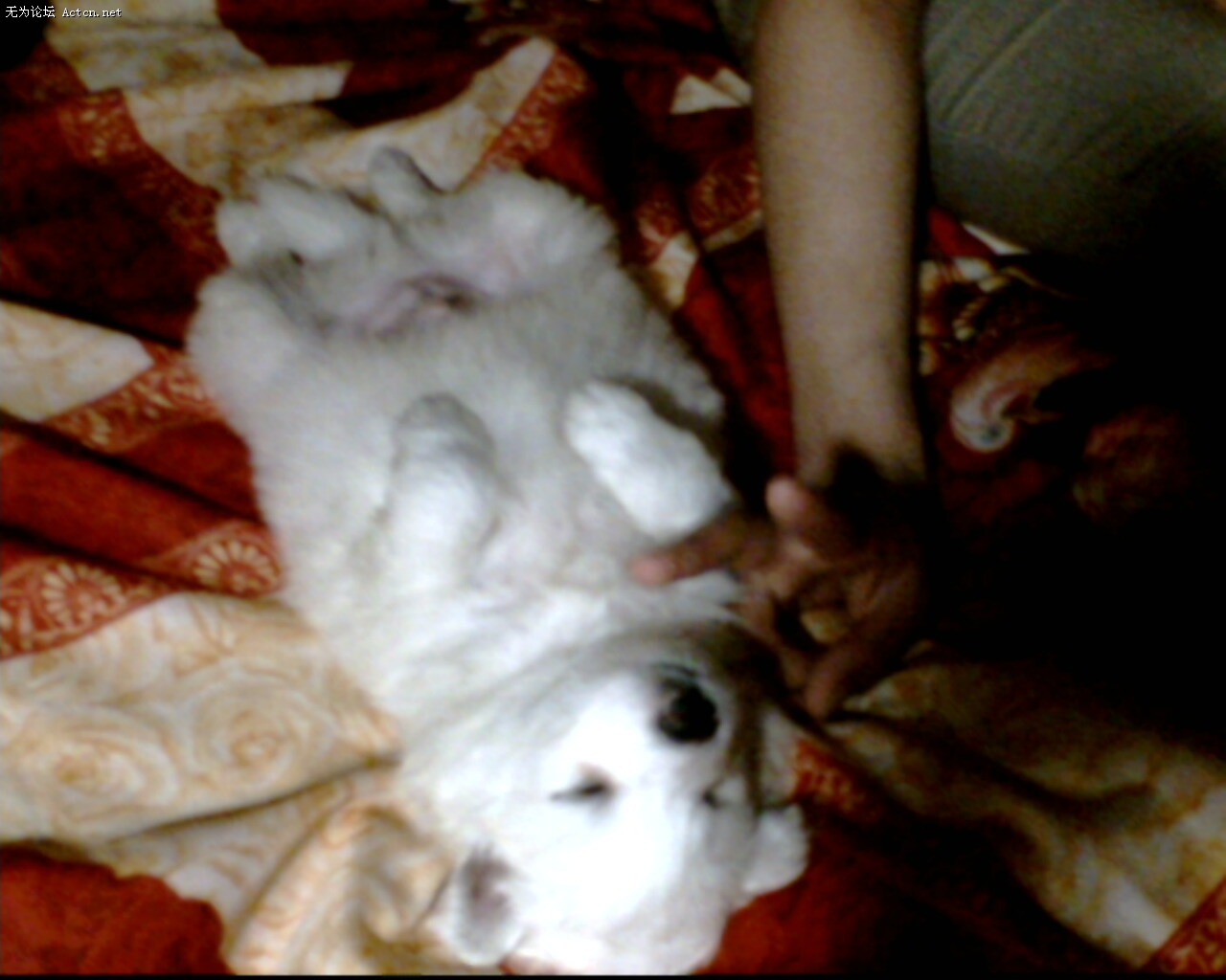 IMG0029A.jpg