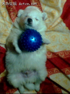 IMG0035A.jpg