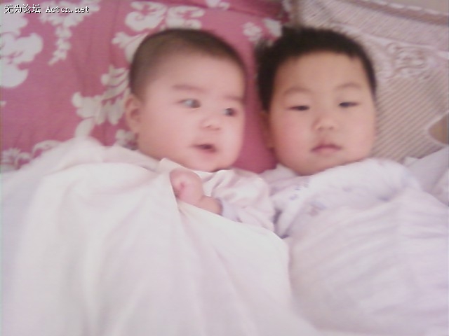 20090316082815.jpg