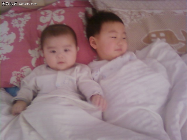 20090316082944.jpg