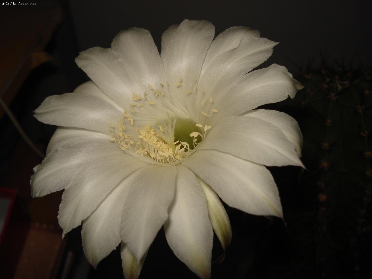 DSC04652.JPG