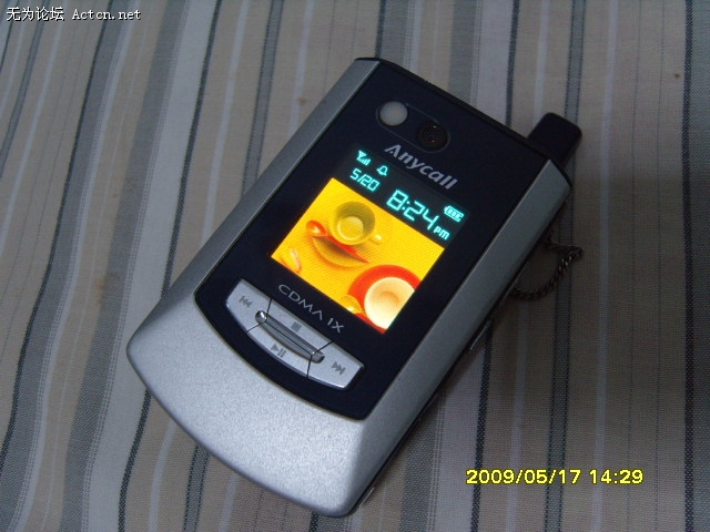 S1031662.JPG