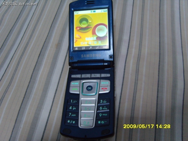 S1031660.JPG