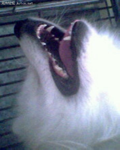 IMG0116A.jpg