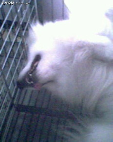 IMG0118A.jpg