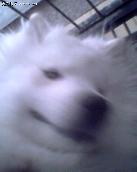 IMG0122A.jpg