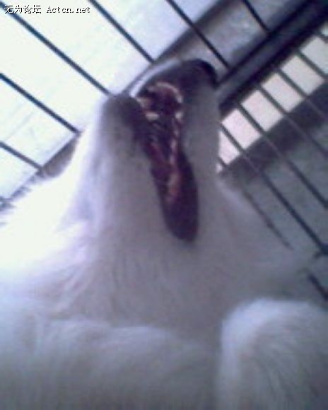 IMG0119A.jpg
