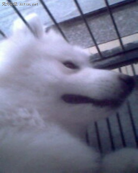IMG0120A.jpg