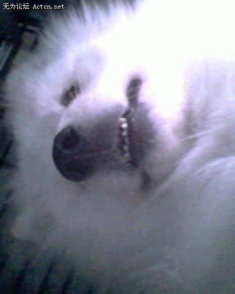 IMG0117A.jpg