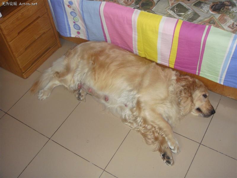 DSC00859 ().JPG