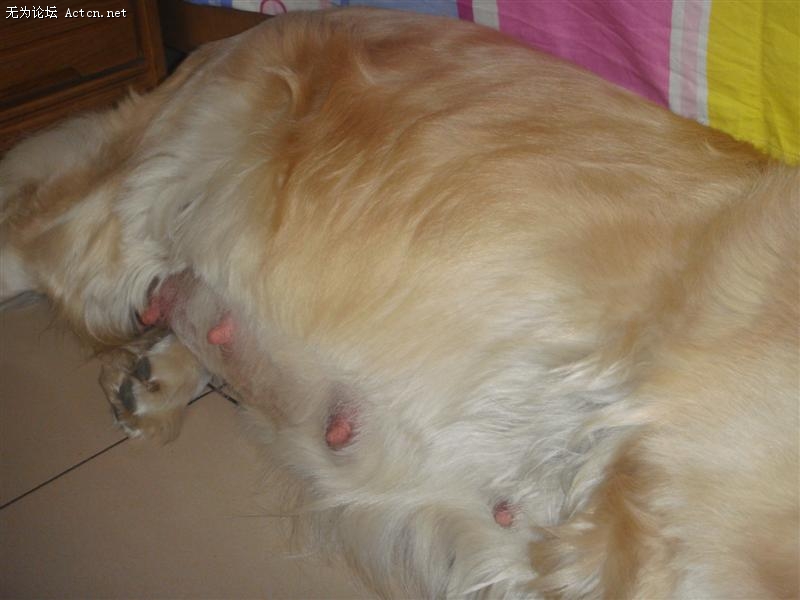 DSC00858 ().JPG