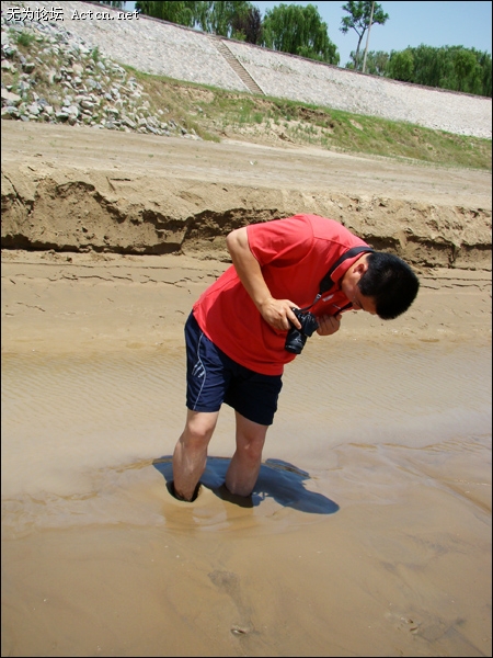 DSC02005.jpg