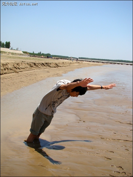 DSC02018.jpg