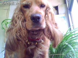 IMG0461A.jpg