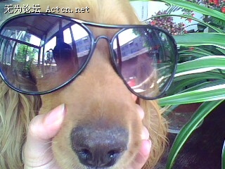 IMG0469A.jpg