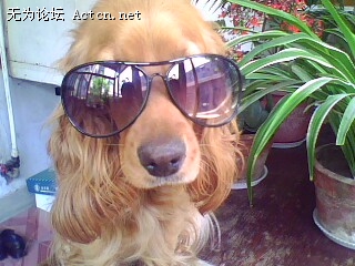 IMG0472A.jpg