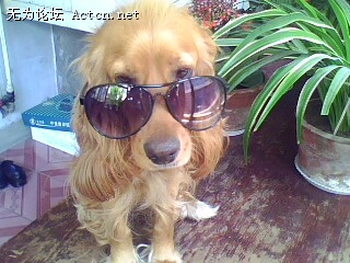 IMG0473A.jpg