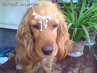 IMG0474A.jpg