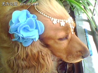 IMG0476A.jpg