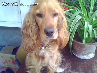 IMG0462A.jpg