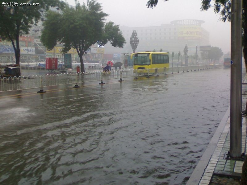 20090619056.jpg