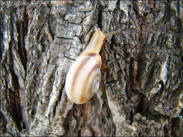 DSC03771.jpg