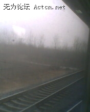 IMG0569A.jpg