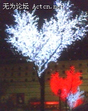 IMG0483A.jpg