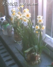 IMG0487A.jpg