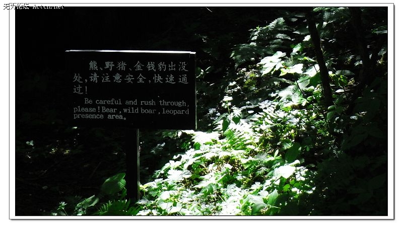 RIMG0194.jpg