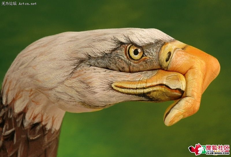 20090608_7b1675f9a75e4a3691ffO6ALbZp9yGAM.jpg