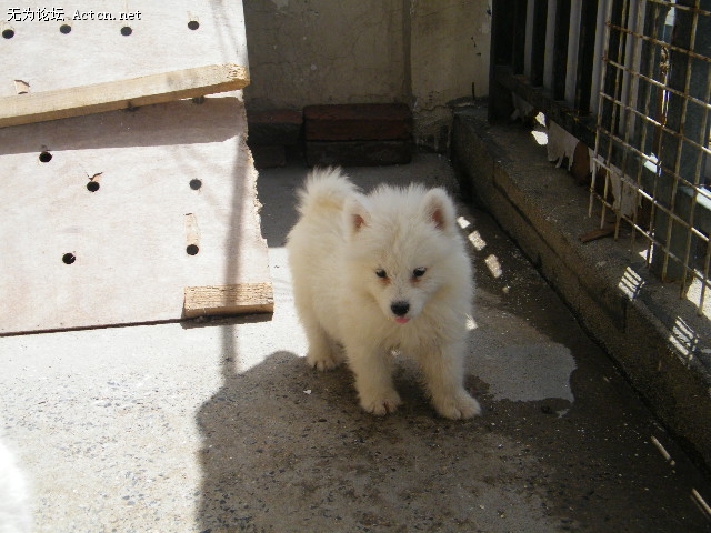 DSCF1741.JPG