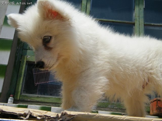 DSCF1839.JPG