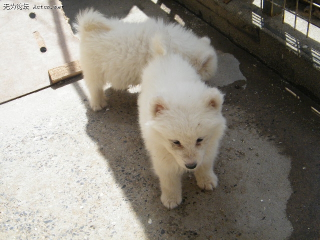 DSCF1739.JPG