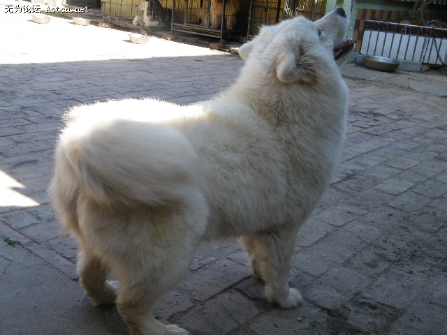 DSCF1683.JPG