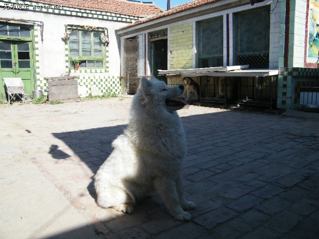 DSCF1680.JPG