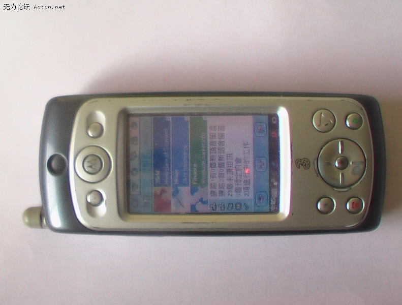 IMGA0842_С.JPG