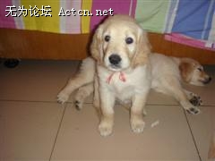 DSC01057 (WinCE).JPG