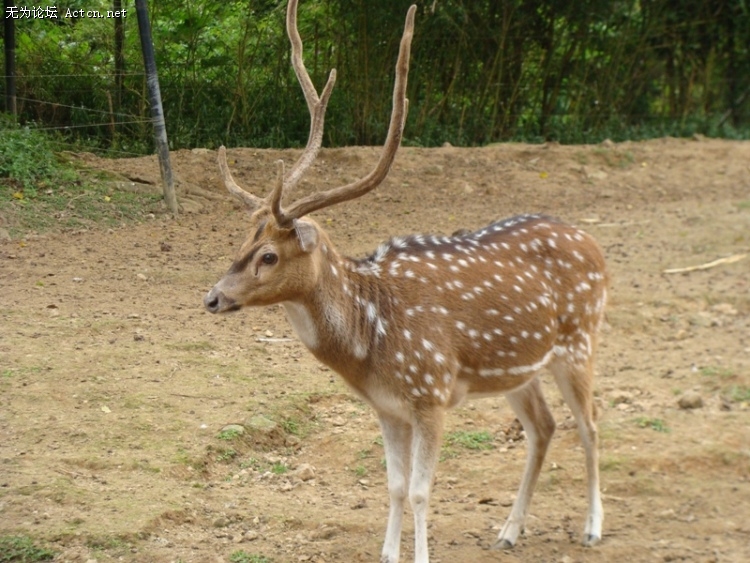 DSC00575.JPG