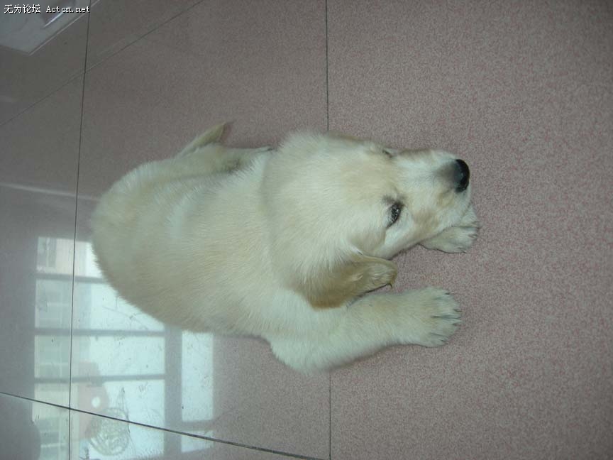 DSCN4302.JPG
