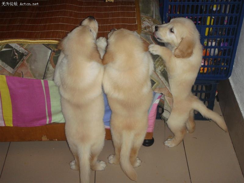 DSC01162 ().JPG