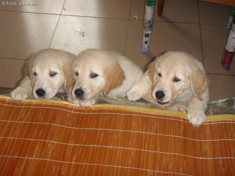 DSC01150 ().JPG