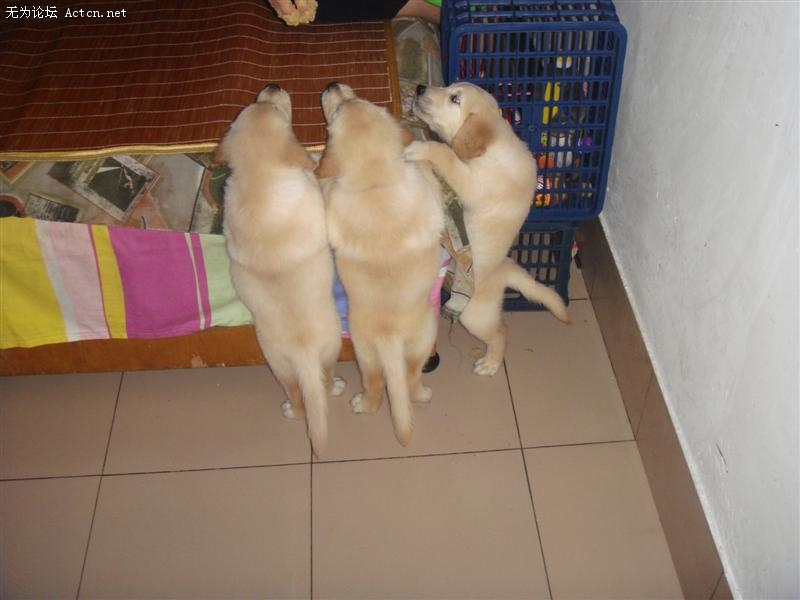 DSC01161 ().JPG