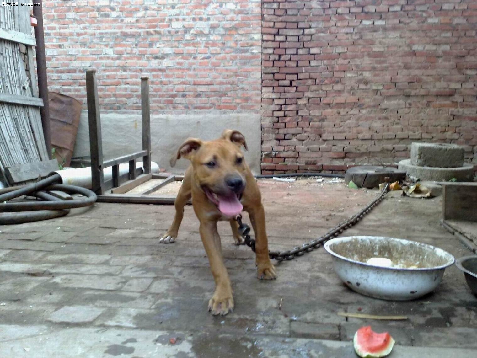 20090710789.jpg