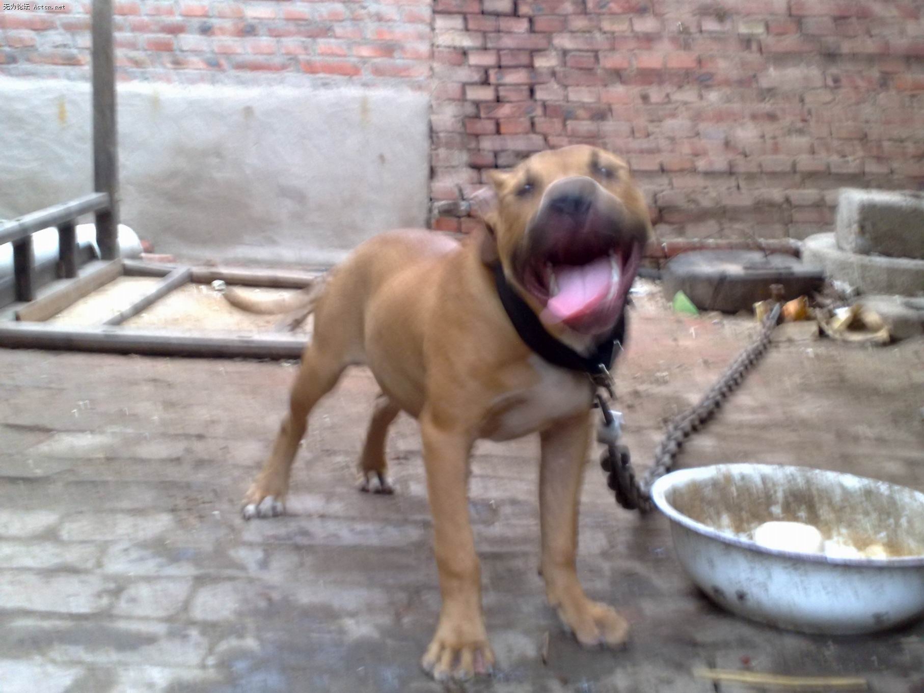20090710783.jpg