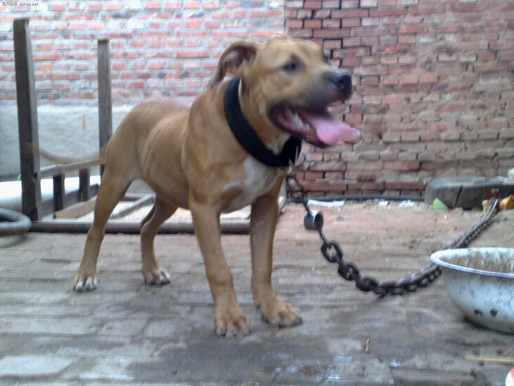 20090710785.jpg