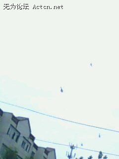 IMG0263A.jpg