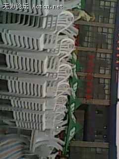 IMG0242A.jpg