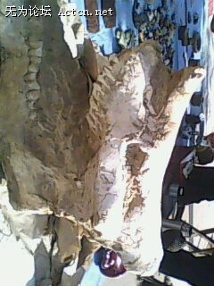 IMG0235A.jpg